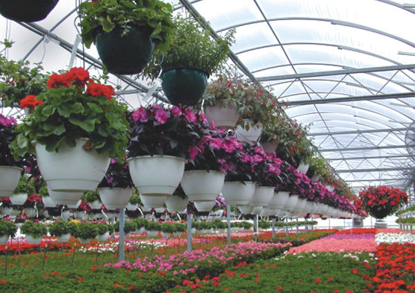 Nursery Garden