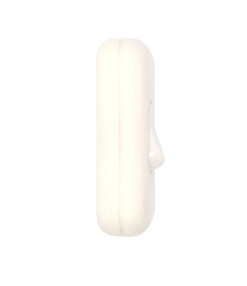 6A DP inline cord switch