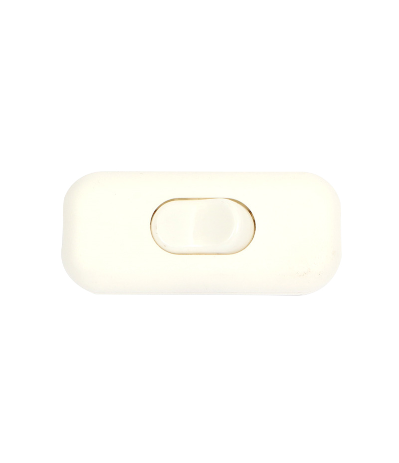 6A DP inline cord switch